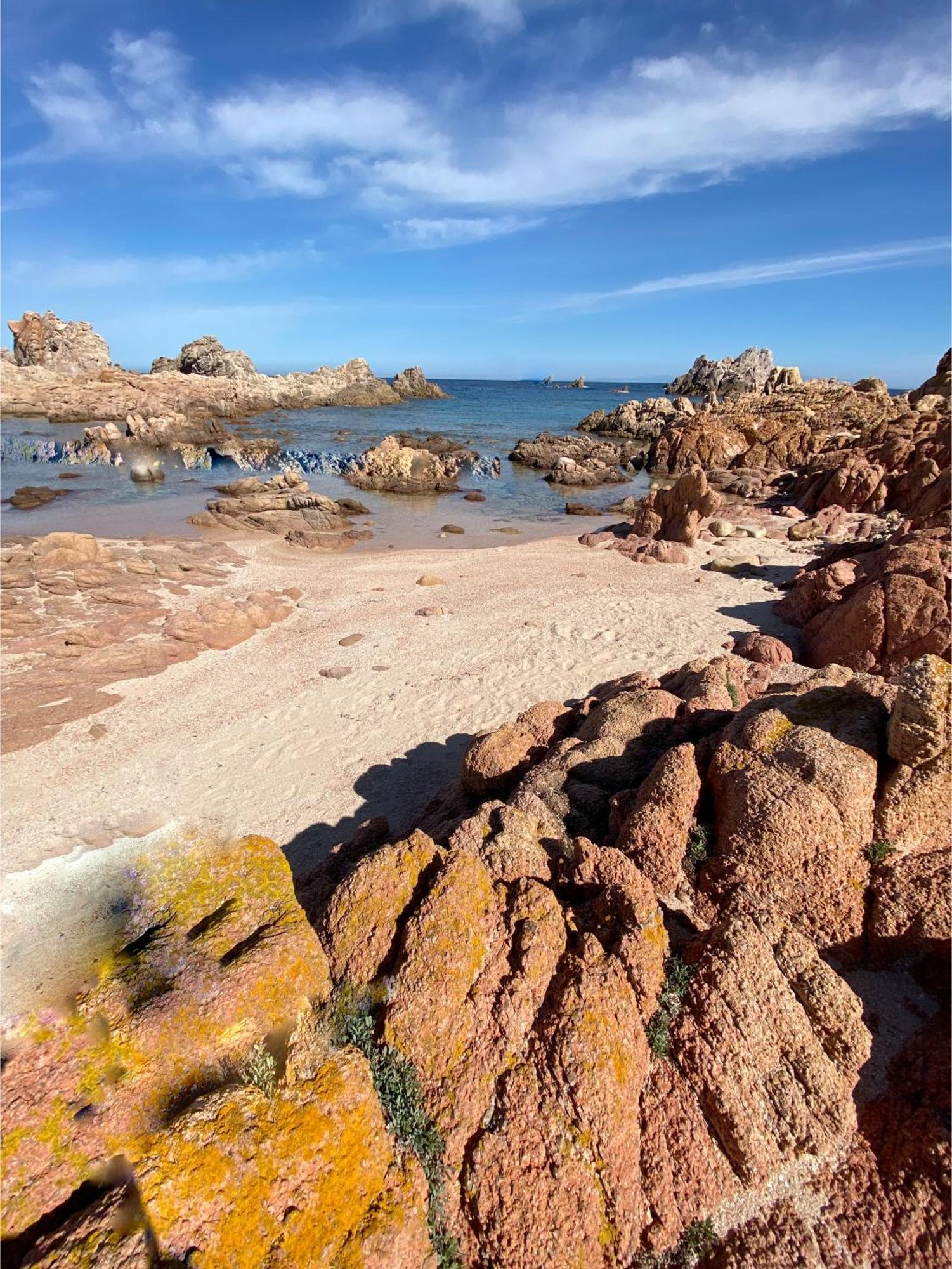 Gli Oleandri Di Calarossa - 5M Walk To The Beach Изола-Росса Экстерьер фото