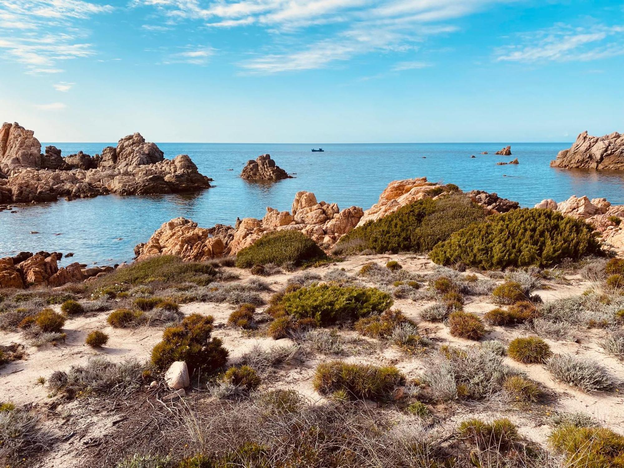 Gli Oleandri Di Calarossa - 5M Walk To The Beach Изола-Росса Экстерьер фото